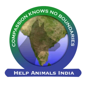 help animals india